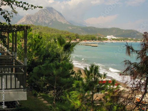 bungalow by sea near beach surrounded by pines and palm trees photo