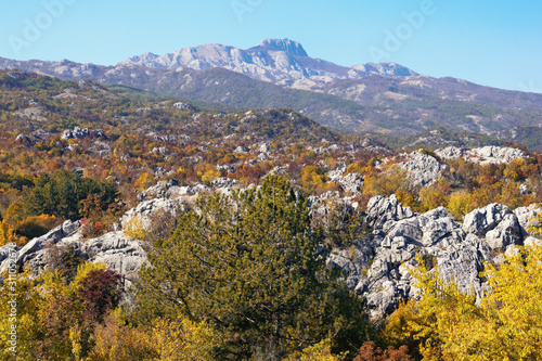 Sunny autumn in mountains. Montenegro, Dinaric Alps. View of Lovсen National Park and Lovcen mountain