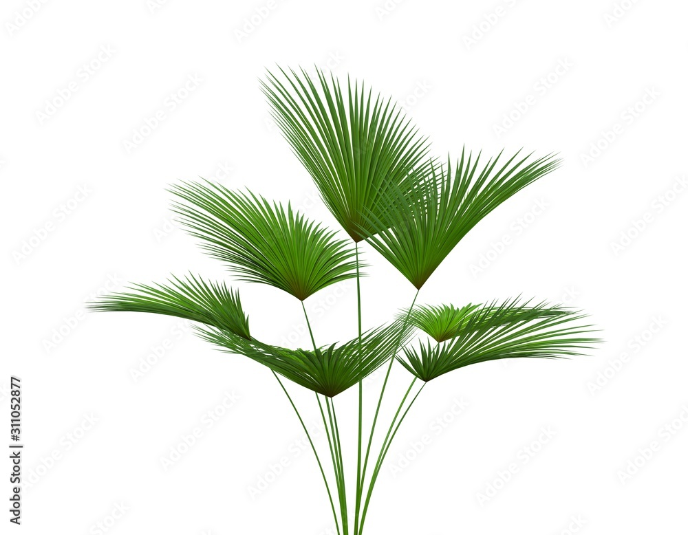 Fototapeta premium Plant Isolated on White, 3D Rendering