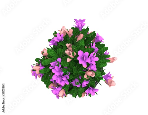 Flower in Pot on White Background 3D Rendering
