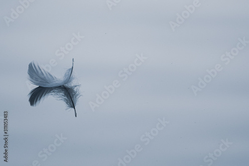 a small feather floats peacefully on the calm waters of a lake photo