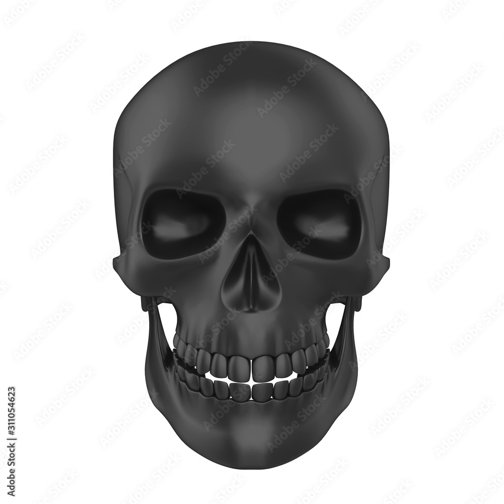 Obraz premium Human Skull Isolated