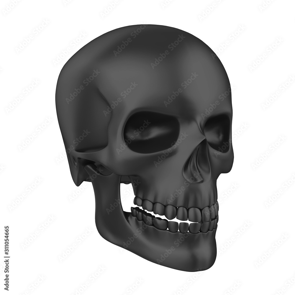 Obraz premium Human Skull Isolated
