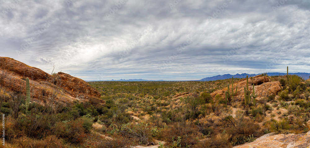 Saguaro National Park East Panorama From Javelina Rocks