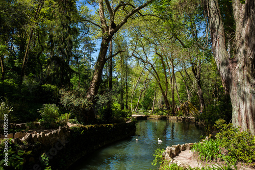 Gardens of Pena Park at the municipality of Sintra