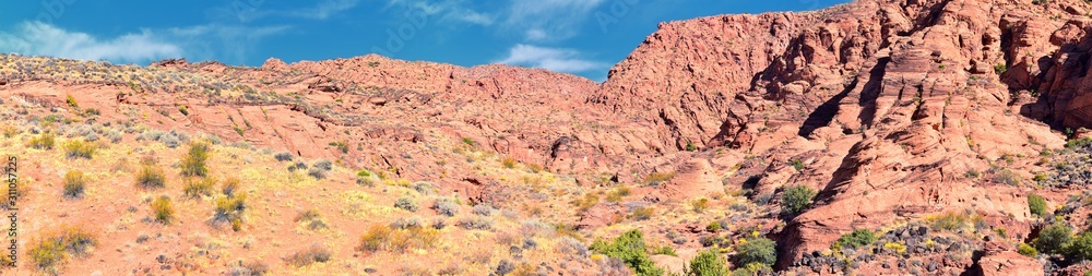 Fototapeta premium Red Cliffs National Conservation Area Wilderness and Snow Canyon State Park from the Elephant Arch and bone wash Trail by St George, Utah in desert reserve. United States. USA.