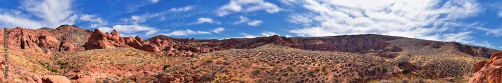 Fototapeta premium Red Cliffs National Conservation Area Wilderness and Snow Canyon State Park from the Elephant Arch and bone wash Trail by St George, Utah in desert reserve. United States. USA.