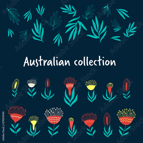 Native australian flowers and leaves, hand drawn decorative elements on dark background