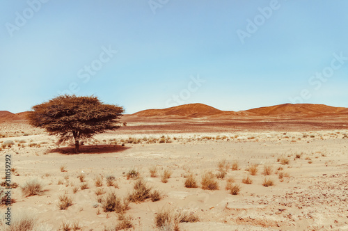 Fotografia View on the moroccan desert, drying of dry river and desertification