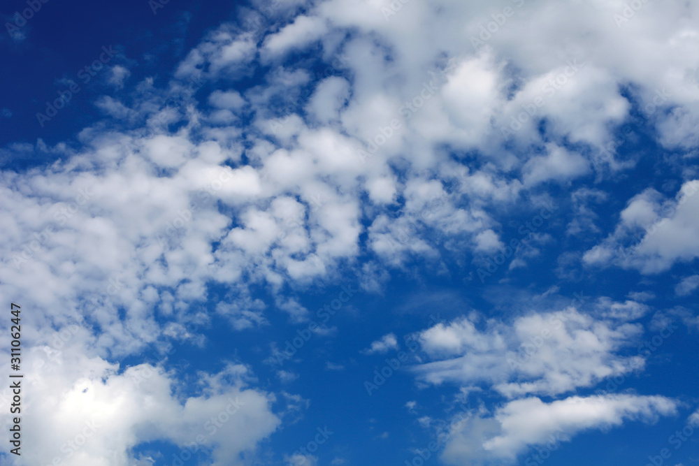 Fototapeta premium Beautiful white cumulus, rain clouds against a bright blue sky. Picturesque, fantastic clouds. Plain landscape background for summer, spring poster
