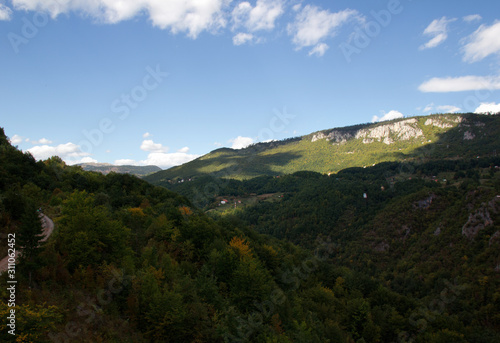Mountain summer landscape. Canyon in Montenegro. 
