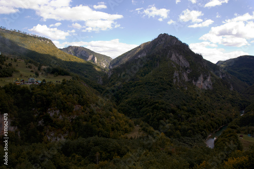 Mountain summer landscape. Canyon in Montenegro. 