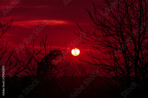 Quadro em tela Bright red sunset