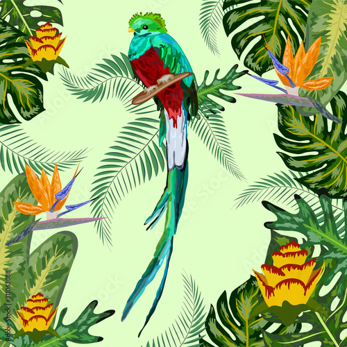 Watercolor green quetzal bird with a long tail on a white background with splashes. Symbol of freedom.