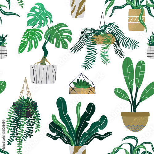 Decorative houseplants seamless pattern background