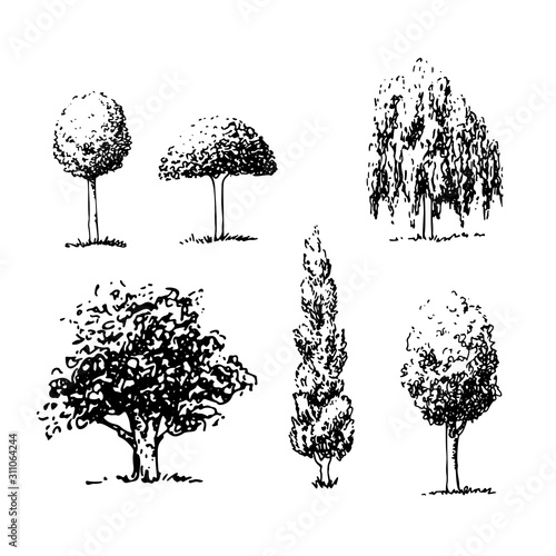 Set of specimens shapes of trees, hand drawn sketch, vector architect elements, oval, round, column, spreading, weeping