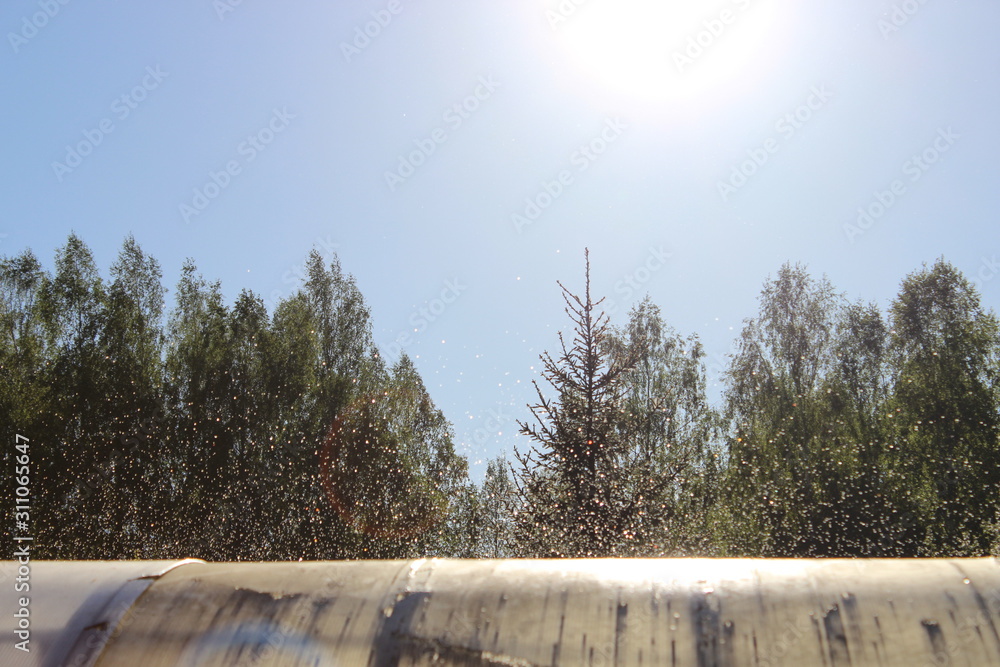 Fototapeta premium Flying drops of water lit by the sun. Russia.