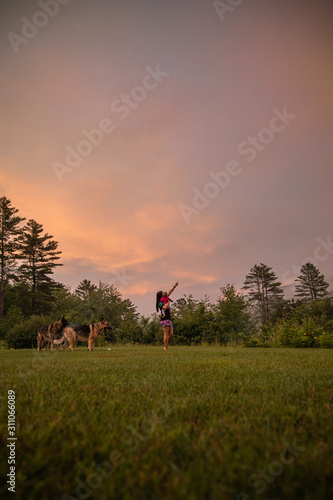 sunset in the field