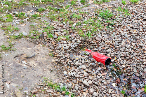 A grey pigeon drinks from a stream of water pouring from a red, plastic, sewer pipe