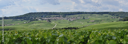 Panoramique Hautvillers