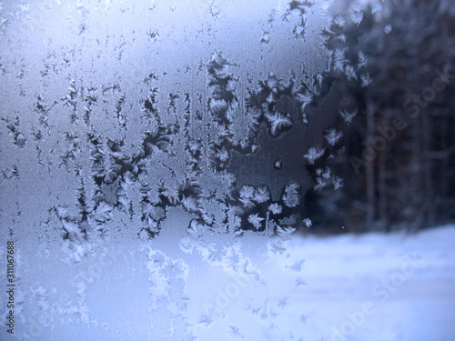 frozen winter window