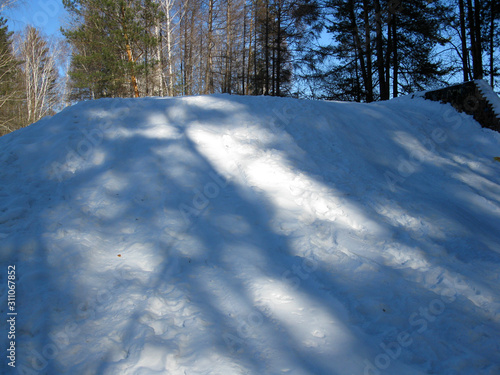 winter forest and snowdrift