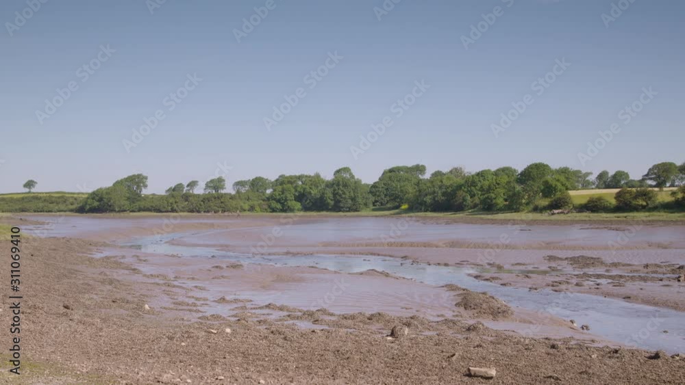 A wide still shot of a low tidal river bank inlet on a sunny day A wide still shot of a low tidal river bank inlet on a sunny day
