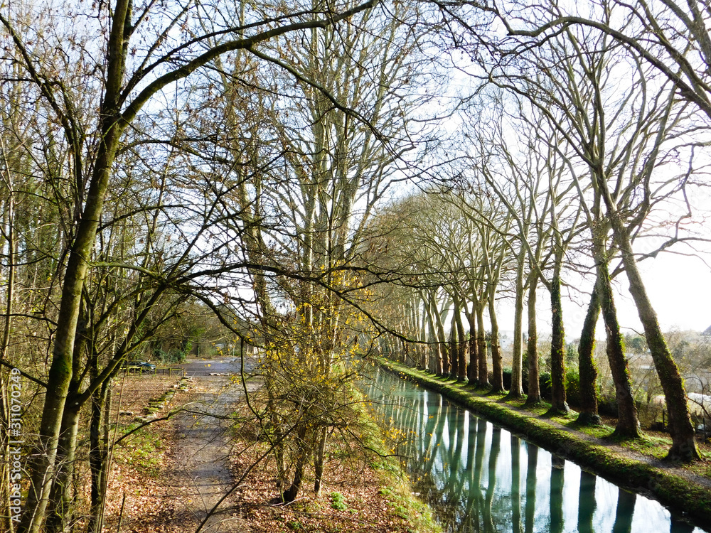 Canal de Berry à Bourges avec allée de peuplier