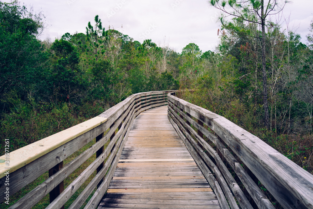 Fototapeta premium A wooden boardwalk crossing forest