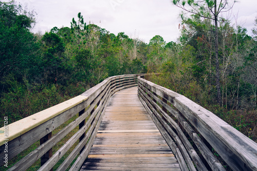 A wooden boardwalk crossing forest