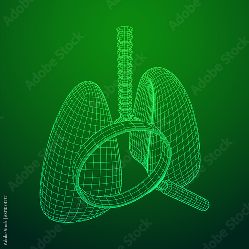 Lungs with trachea bronchi internal organ human with magnifying glass. Pulmonology medicine science analysis concept. Wireframe low poly mesh vector illustration