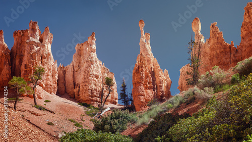 Hoodoos of Queens Stone Garden   Bryce Canyon National Park  Utah