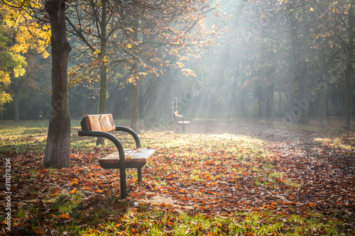 Nicely illuminated lonely park bench on an early foggy morning in autumn photo