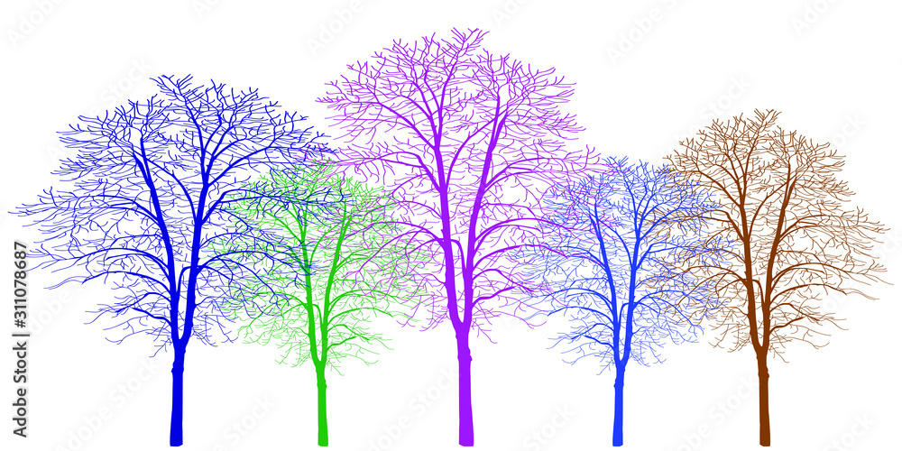 Five trees of different colors. Trees without leaves. Bare tree trunks with branches without leaves. Trees on a white background. Large plants for decoration. Many branches without leaves.