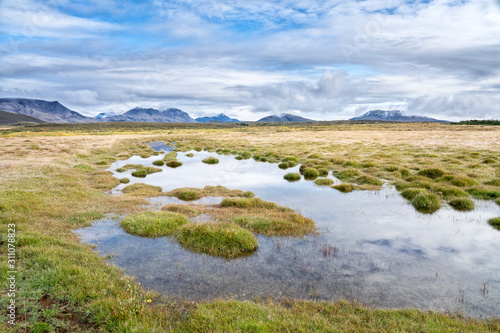 volcanic landscape and moss covered lava field in Iceland 