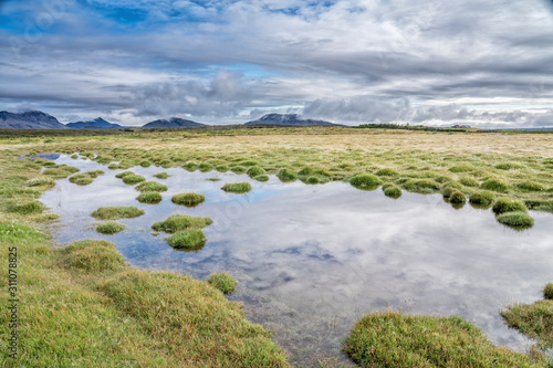 volcanic landscape and moss...