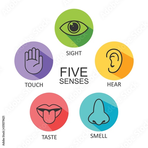 Human senses icon. Vector illustration, photo