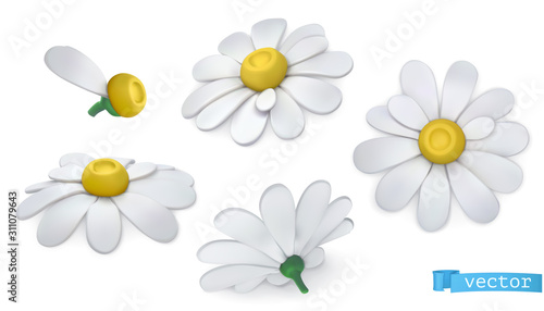Chamomile flowers, daisies. 3d vector icon set