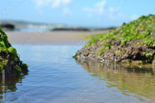 Beach sunny