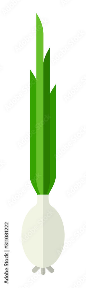 Onion with green sprouts vector icon flat Onion with green sprouts vector icon flat