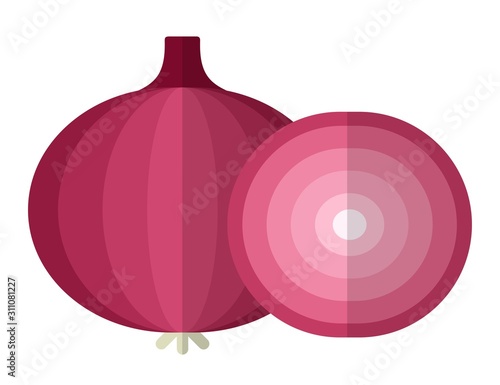 Red onion with piece of onion vector icon flat isolated