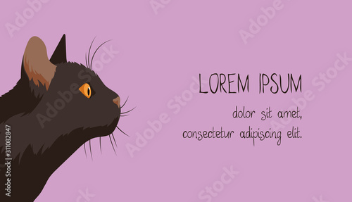 Business Cards Template with Black Cat