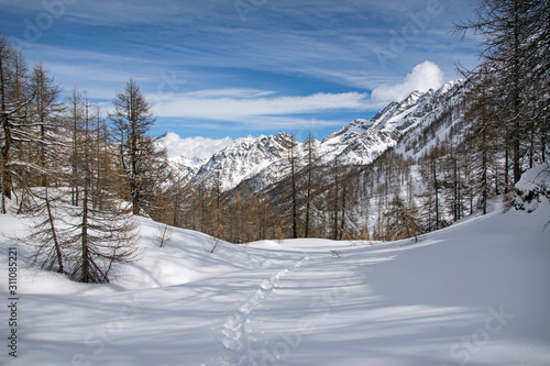 winter snowy mountains landscape panorama. Italian Alps, Gran Paradiso National Park. Italy © ueuaphoto