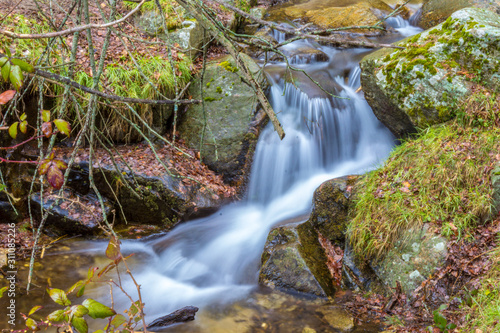 Long exposure waterfall in the forest