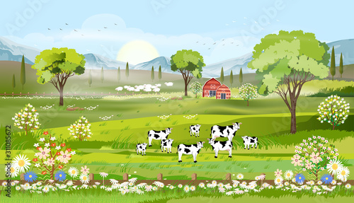 Rural farm landscape with green fields and barn animals cow, goats, sheep and windmills on hill with blue sky and clouds, Vector cartoon Spring or Summer landscape,Eco village or Organic farming in uk