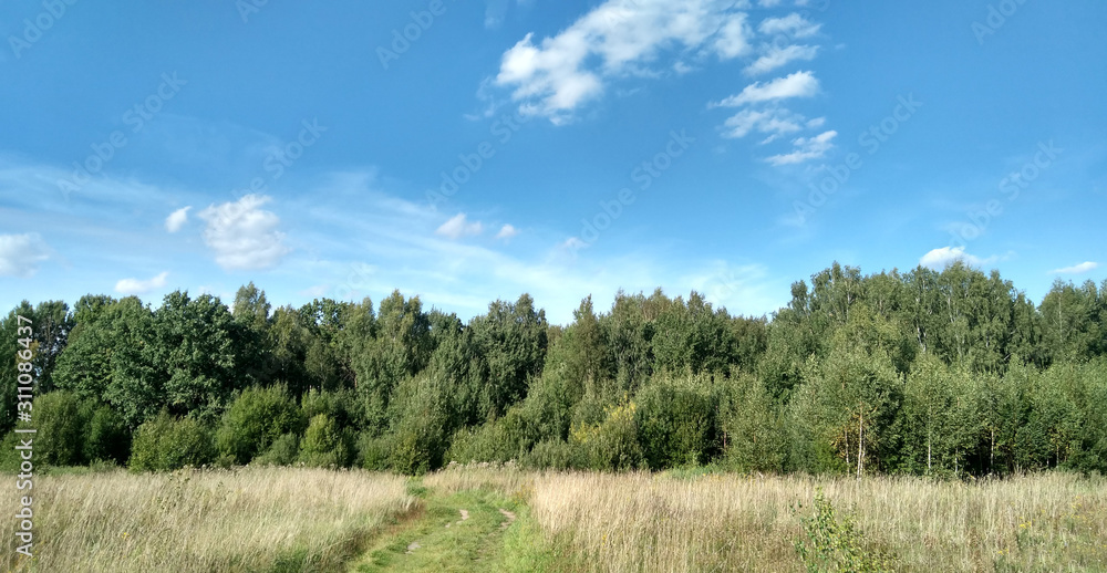 Beautiful landscape. Nature picture background. Spring nature. Blue clear sky. Sunlight and fluffy clouds. Field and meadow. Beautiful landscape. Nature picture background. Spring nature. Blue clear sky. Sunlight and fluffy clouds. Field and meadow.