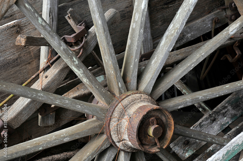 Chariot wheel