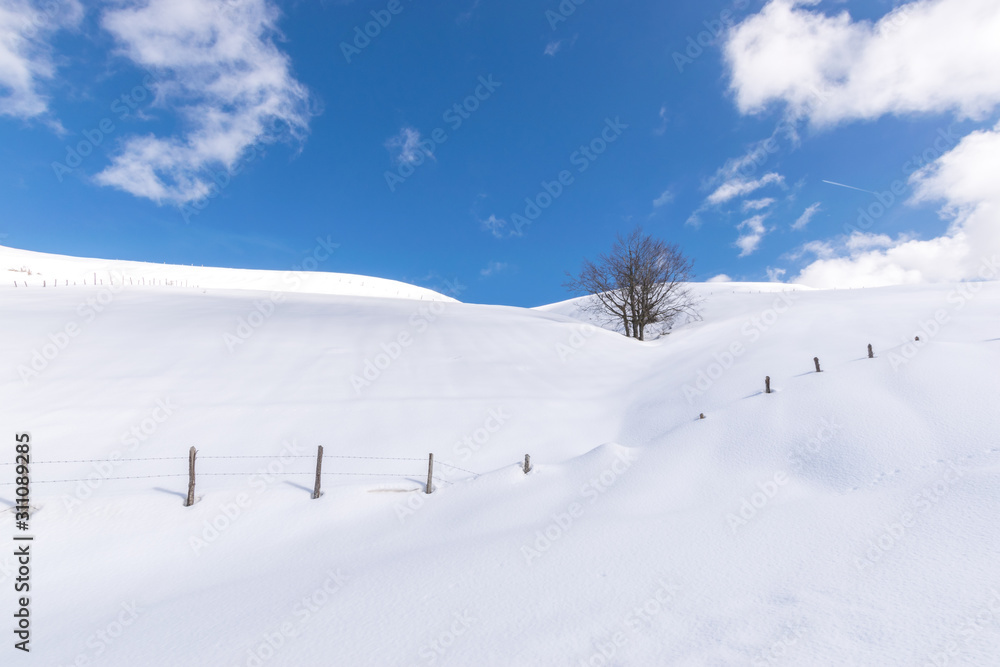 Mountain Carpegna with snow in winter