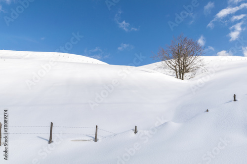 Mountain Carpegna with snow in winter photo