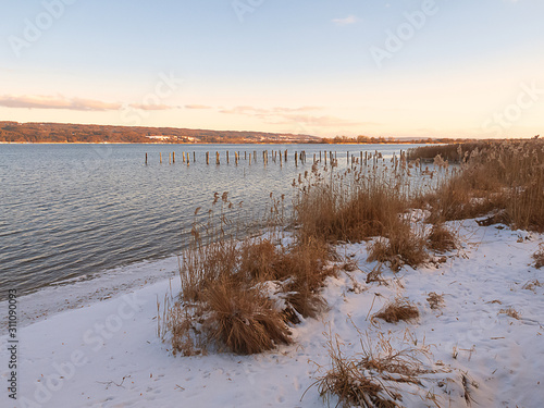 Seeufer mit Schilf und Schnee an einem bayerischen See in der Winterzeit